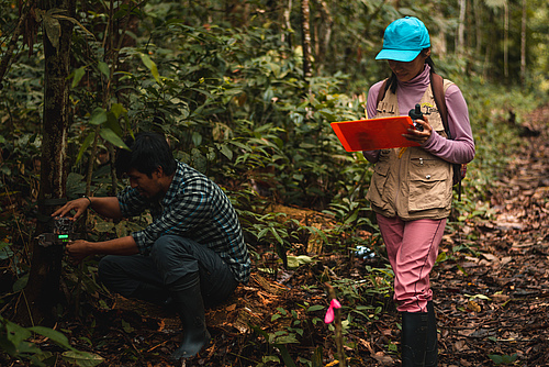 Researchers in the Tropical Andes often struggle to share their unique insights into these complex ecosystems with the global scientific community. (Picture: Fernanda Lacerda)