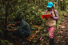 Researchers in the Tropical Andes often struggle to share their unique insights into these complex ecosystems with the global scientific community. (Picture: Fernanda Lacerda)