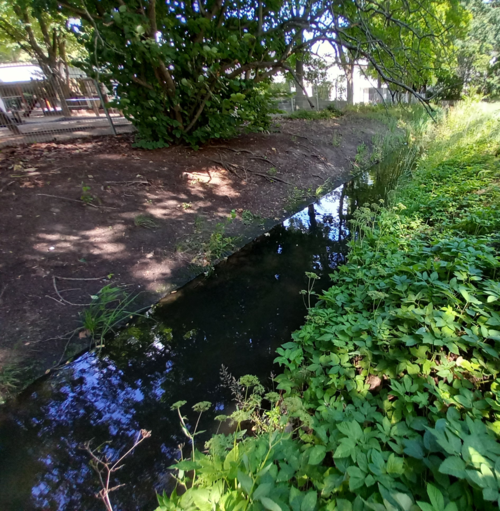 Streams close to settlements are often heavily influenced by humans (Picture: photographed by a contributor to “Unsere Flüsse”)