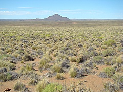 Trockengebiet in Patagonien (Argentinien) (Bild: Juan José Gaitán, INTA (Argentina))