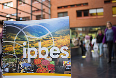 Their goal is to integrate 'Shared Socio-Economic Pathways' in IPBES scenarios. Photo: Stefan Bernhardt, iDiv