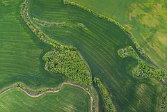 Nat&uuml;rliche Lebensr&auml;ume, die eine hohe Zahl von Arten beherbergen k&ouml;nnen, werden zunehmend von landwirtschaftlicher Nutzung bedr&auml;ngt. (Bild: Juan Carlos Munoz / Adobe Stocks)