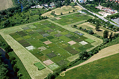 At the Jena Experiment, researchers study the role of biodiversity for ecosystem functioning. (Picture: Christoph Scherber)