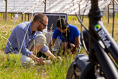 iDiv scientists investigate global biodiversity change and its consequences. (Picture: Stefan Bernhardt, iDiv)