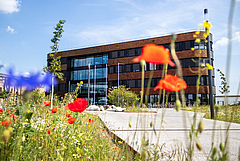 Since October 2020, iDiv researchers have worked in a new building at the Alte Messe in Leipzig. (Picture: Stefan Bernhardt, iDiv)