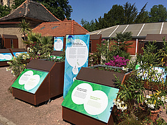 The exhibition "Garten findet Stadt" at the Botanical Garden of the Martin Luther University Halle-Wittenberg is an initiative of the iDiv research centre (photo: Sebastian Jaehn/iDiv).