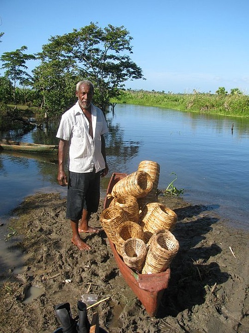 The researchers conducted interviews with local community members, such as this basket weaver from Uganda's Budongo landscape. Here many households rely on forest reserves for food and income. (Picture: T. Pienkowski)