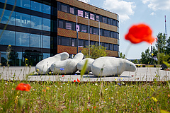 Der Neubau des iDiv-Forschungszentrums in der Puschstra&szlig;e 4 in Leipzig. (Bild: Stefan Bernhardt / iDiv)