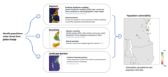 The 'Life on the edge' workflow. (Picture: Barratt et al. (2024), MEE)