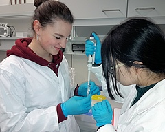 Students of the Louise-Otto-Peters-school working in the lab