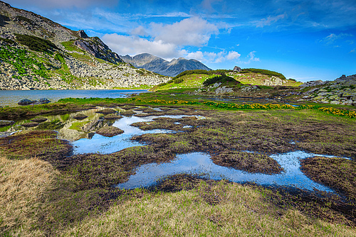 Europe&rsquo;s biodiversity continues to decline at an alarming rate due to anthropogenic pressures and a warming climate (Picture: Janoka82 | Dreamstime)