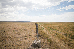 Drought and overgrazing are factors that can lead to degraded land (left) and impact the ability of ecosystems to provide services such as carbon sequestration or soil fertility. (Picture: USDA) Drought and overgrazing are factors that can lead to degraded land (left) and impact the ability of ecosystems to provide services such as carbon sequestration or soil fertility. (Picture: USDA)