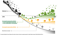 Der Abw&auml;rtstrend der globalen Biodiversit&auml;t kann noch immer umgekehrt werden. Um dies jedoch bald zu erreichen, bedarf es einer wirksamen Politik, die nicht nur die Biodiversit&auml;t erh&auml;lt und wiederherstellt, sondern auch die weltweite Nachfrage nach Agrarrohstoffen und die Umweltauswirkungen ihrer Produktion begrenzt. (Bild: IIASA)