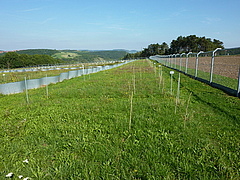 NutNet site in Jena