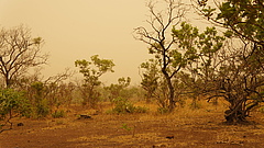 In Fongoli, Senegal, the average temperature during the dry season is 37 degrees Celsius. photo: Erin Wessling