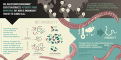 Infographic depicting main results of new Science publication. (Picture: Fuse Consulting)