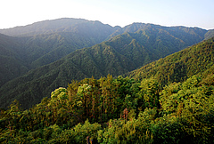 Nature reserve Gutianshan in China. Here, iDiv scientists investigate the relation of biodiversity and ecosystem functions. Photo: Dr Sabine Both, BEF-China