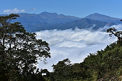 Dieses Flusseinzugsgebiet in Ecuador ist ein Bergbaugebiet (Gold, Silber, Kupfer), aber auch die Heimat vieler Orchideenarten, Fr&ouml;sche, Nagetiere und Eidechsen (Bild: Francisco José Prieto Albuja)