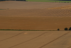 Farmland in Germany (Photo: Guy Pe’er)
