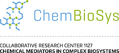 Logo ChemBioSys