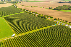 Das EU-Parlament stimmt Anfang 2024 &uuml;ber das wohl wichtigste Gesetz zum Stopp des Biodiversit&auml;tsverlustes in Europa ab. (Bild: André Künzelmann/UFZ)