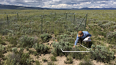 Photo: Peter Adler, Utah State University