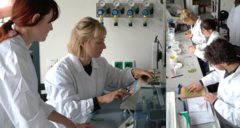 MIE hosts Justine Knaden and Luise Hock of FSU Jena