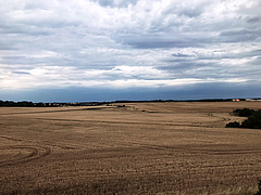 Monotone Landschaften sind das Ergebnis intensiver Landwirtschaft.&nbsp;Mit dem Reformvorschlag der EU k&ouml;nnte laut den Forschern die Intensivierung unvermindert weitergehen. (Bild: Sebastian Lakner)