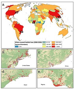 Forecasted direct impacts of urban growth on habitat (2000-2030). (Picture: Nature Sustainability)