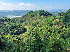 The experimental site of BEF-China in located in a mountain area 400 kilometres to the west of Shanghai. (Picture: UZH)