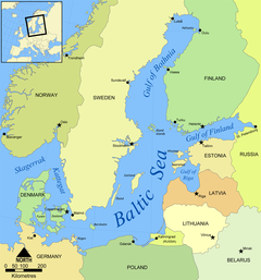 Die Forscherinnen und Forscher nutzen Daten &uuml;ber die Mageninhalte von sechs Fischarten der Kieler Bucht. (Bild: N Einstein, CC BY-SA, Wikimedia Commons)