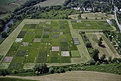 The Jena Experiment. Photo: Christoph Scherber