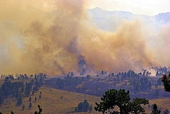 When terrestrial ecosystems are subjected to multiple degradation factors, such as fires, for longer periods, their ability to provide ecosystem services is affected. (Picture: M. Goad)