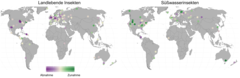 Ver&auml;nderungen der lokalen Insektenzahlen f&uuml;r landlebende und S&uuml;&szlig;wasser-Insekten. Violette Punkte bedeuten Abnahmen, gr&uuml;ne Punkte Zunahmen.&nbsp; (Bild: Roel van Klink. Angepasst von van Klink et al. (2020), Science. Mit Genehmigung von AAAS.)
