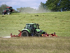 Intensiv bewirtschaftetes Gr&uuml;nland beg&uuml;nstigt Futterqualit&auml;t und Biomasse, allerdings auf Kosten anderer Funktionen und &Ouml;kosystemleistungen und der biologischen Vielfalt. (Bild: Pete Manning)