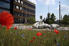 The space is an opportunity to raise public awareness of the research centre&rsquo;s work. (Picture: Stefan Bernhardt / iDiv)