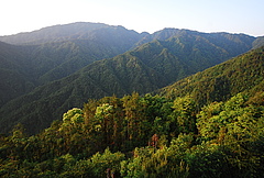 Subtropische W&auml;lder wie dieser in Ost-China (Schutzgebiet Gutianshan) sind besonders artenreich. (Bild: Sabine Both)