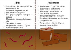 Figura 3: Resum dels resultats dels censos de cucs de terra al sòl i a la fusta morta en boscos de roure.