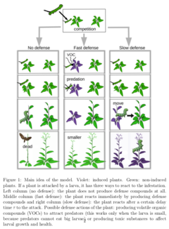 Radio interview on optimal timing of induced responses