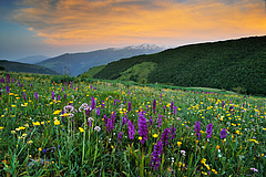 "Rewilding"-Zone im Zentral-Appenin, Italien (Foto: Sandra Bartocha / Wild Wonders of Europe / Rewilding Europe).