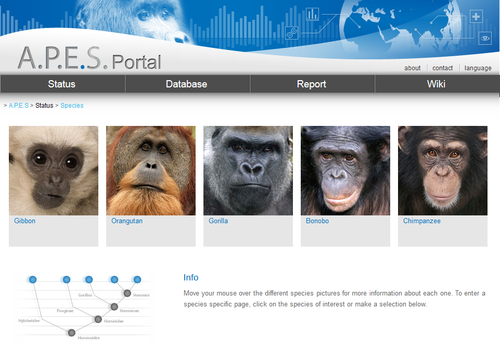 Die Webseite der Datenbank, die für die Studie verwendet wurde, wird vom Max-Planck-Instiut für Evolutionäre Anthropoloigie betrieben (Bild: IUCN SSC A.P.E.S.).