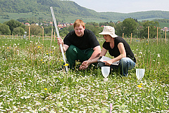 Versuchsfeld Saaleaue (Foto: Anne Günther/FSU)