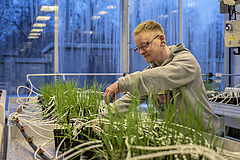 MIE celebrates Plant Health featuring our iDiv gardener Alvin Barth